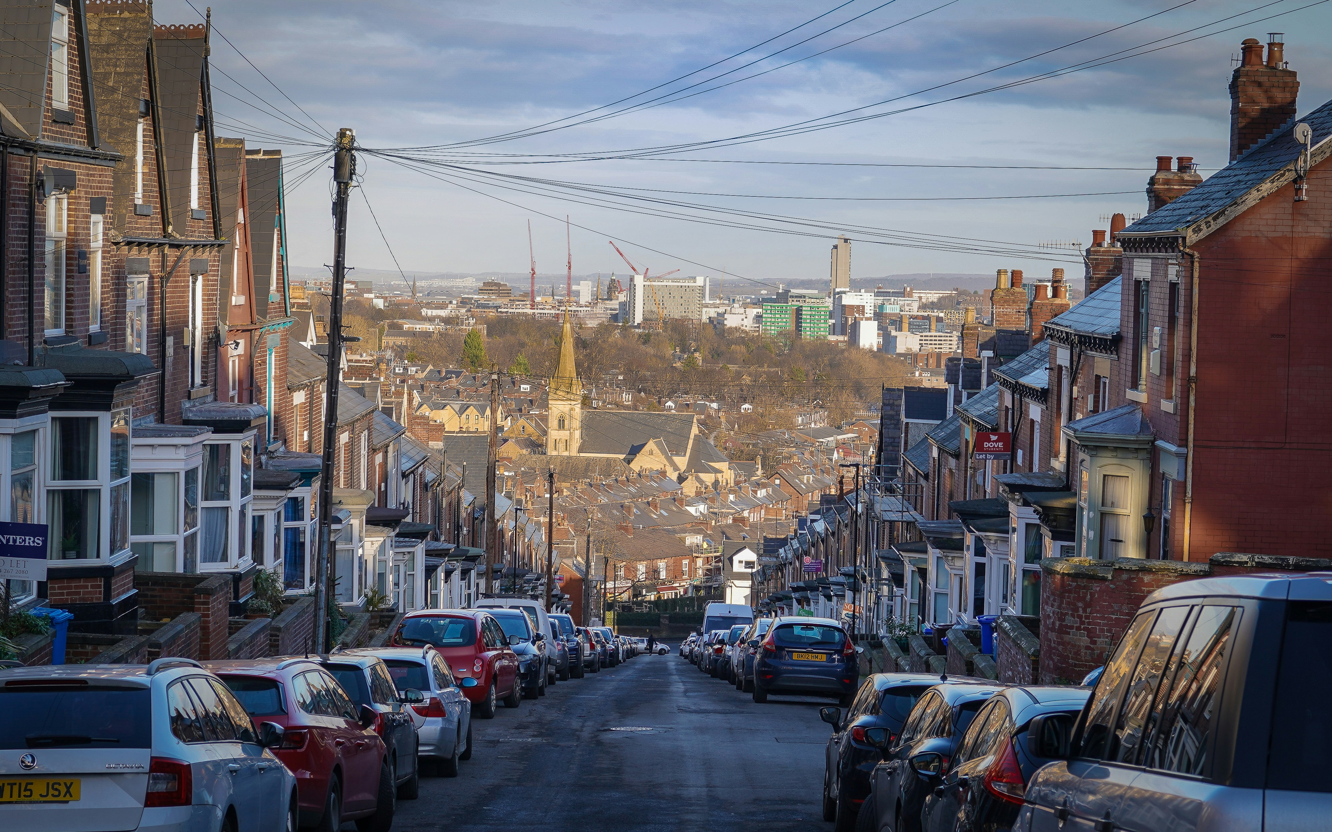 Meal photo